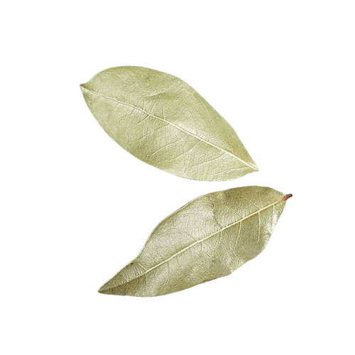 Fresh Bay Leaves