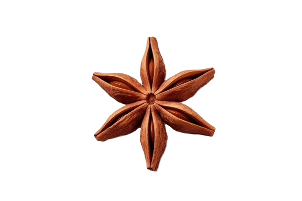 Star Anise South Indian Spice